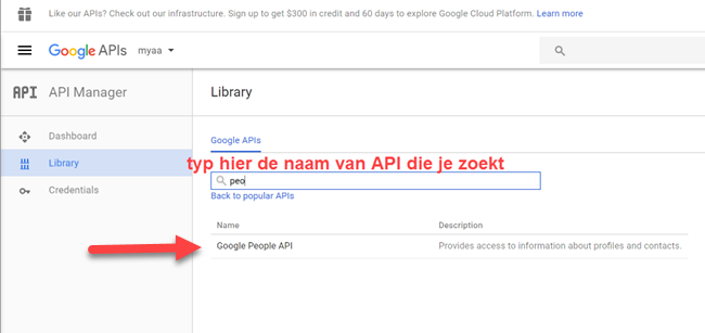 Google Developer Console - Library- search API